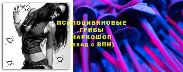герыч Лагань
