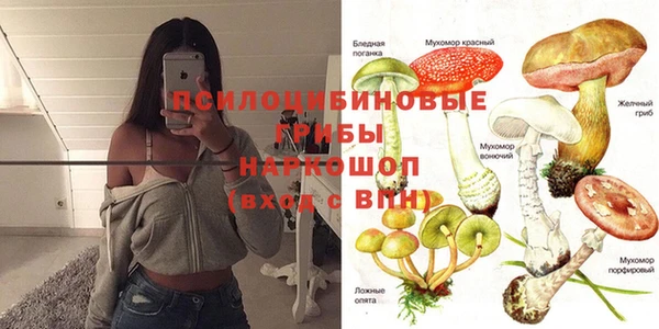 гидра Балабаново