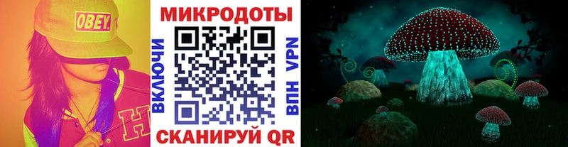 маркетплейс наркотические препараты  Бобров  Галлюциногенные грибы Cubensis 